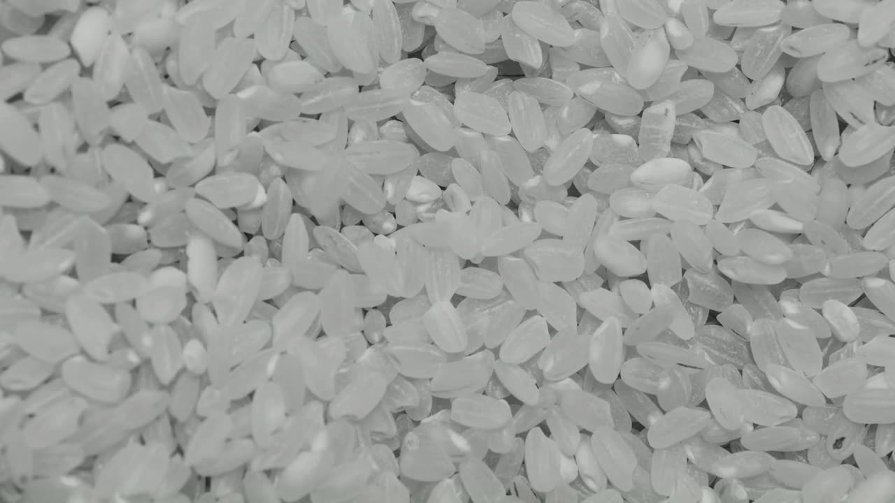 Rice grains at close range